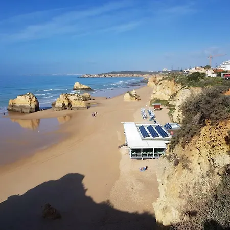 Tropical Rocha 포티마오