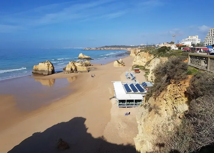 Tropical Rocha 波尔蒂芒